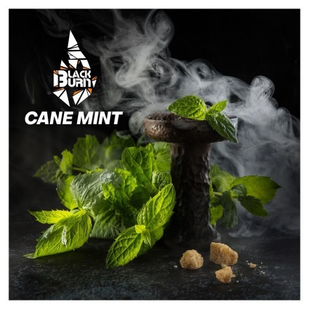 Табак BlackBurn - Cane Mint (Тростниковая Мята, 25 грамм) купить в Казани