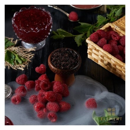 Табак Element Земля - Raspberry (Малина, 200 грамм) купить в Казани