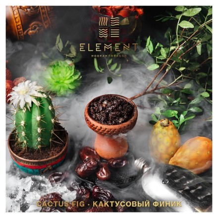 Табак Element Вода - Cactus Fig (Кактусовый финик, 100 грамм) купить в Казани