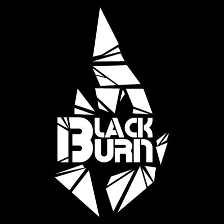 Табак BlackBurn - Red Currant (Красная Смородина, 25 грамм) купить в Казани